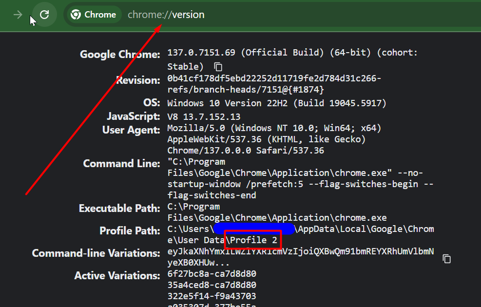 chrome version